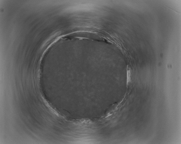 X0000080770243200701021129