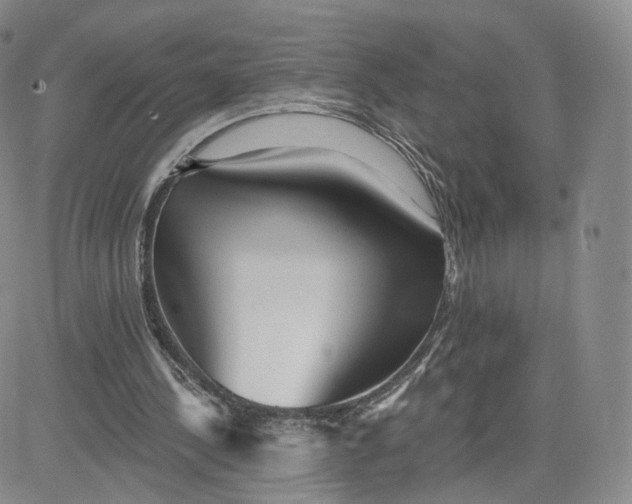 X0000080770244200701021129