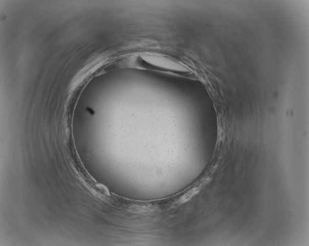 X0000080770245200701021129