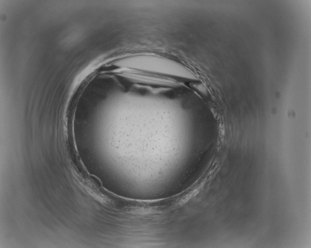 X0000080770246200701021129