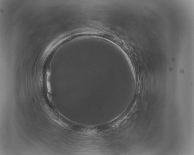 X0000080770247200701021129