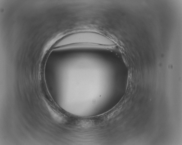 X0000080770248200701021129