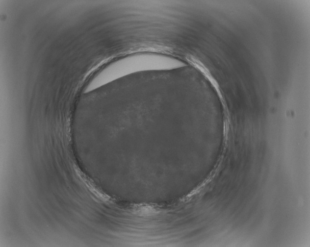 X0000080770249200701021129