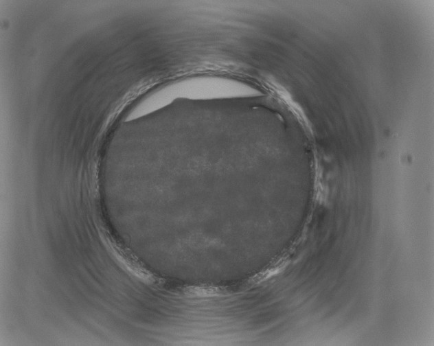 X0000080770250200701021129