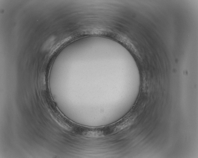 X0000080770251200701021129