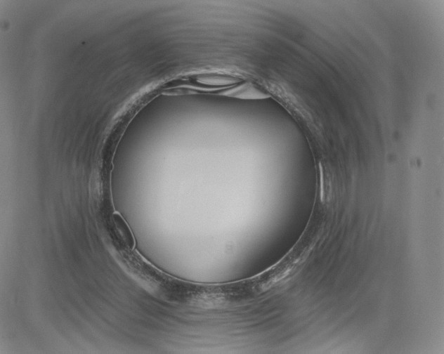 X0000080770252200701021129