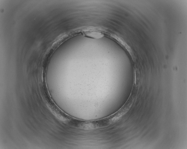 X0000080770253200701021129