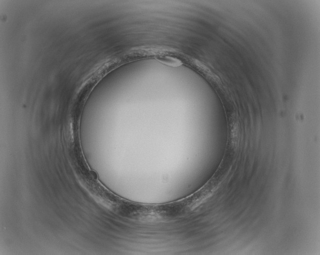 X0000080770254200701021129