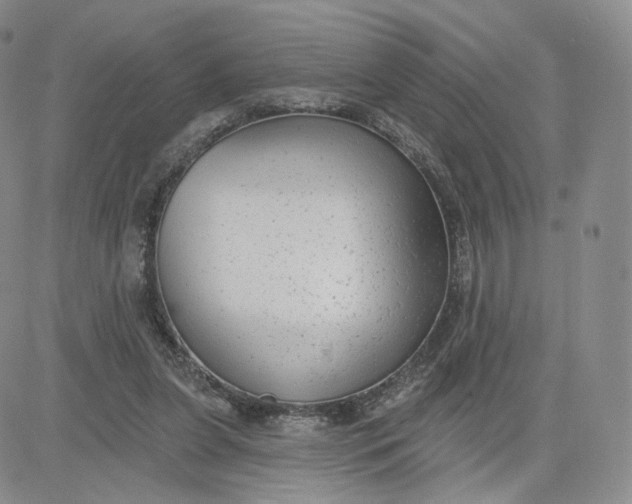 X0000080770255200701021129