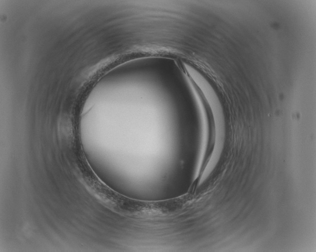 X0000080770256200701021129