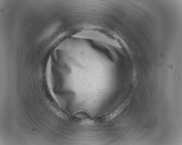 X0000080770257200701021129