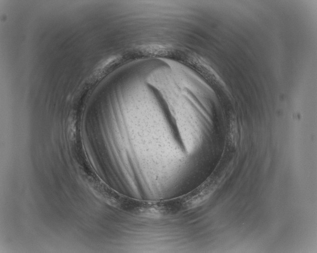 X0000080770259200701021129