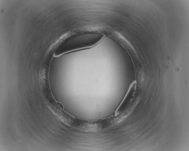 X0000080770260200701021129