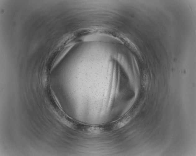 X0000080770261200701021129