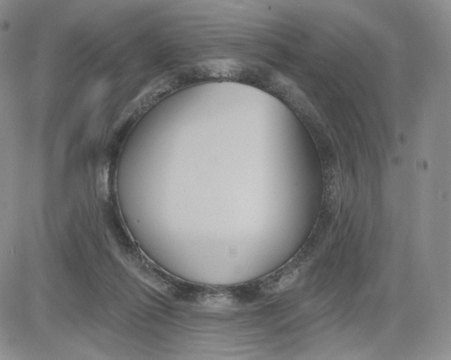 X0000080770262200701021129