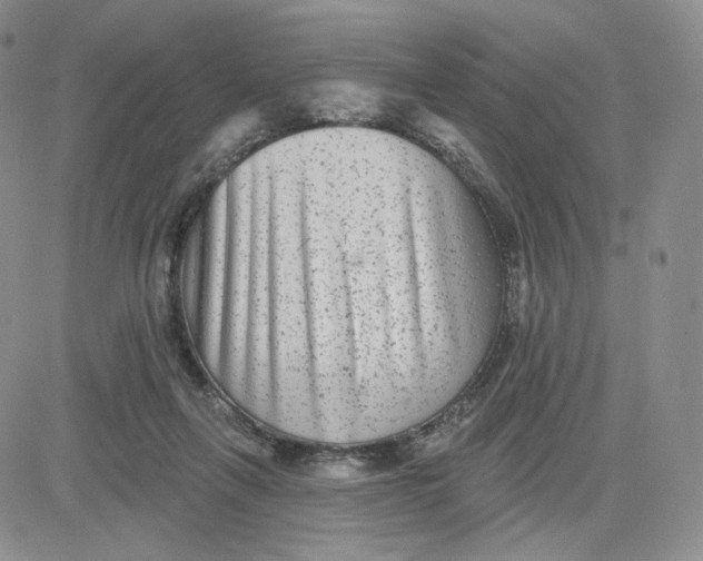 X0000080770263200701021129