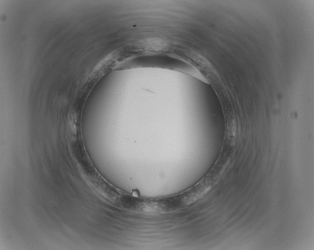 X0000080770264200701021129