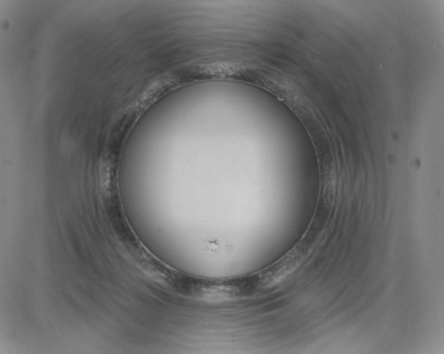 X0000080770268200701021130