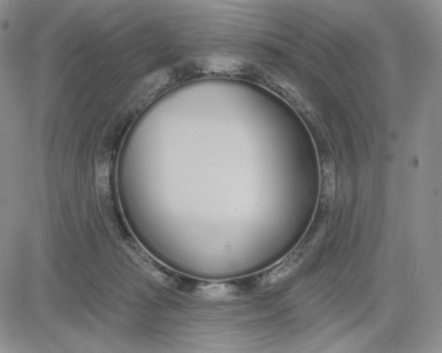 X0000080770269200701021130