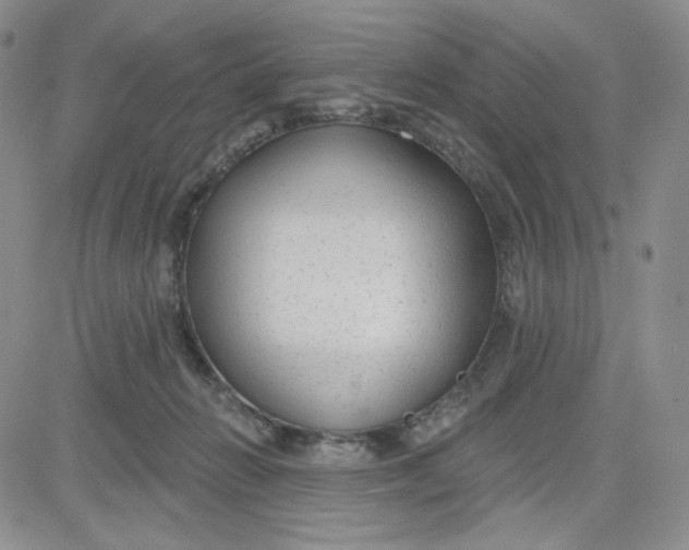 X0000080770270200701021130