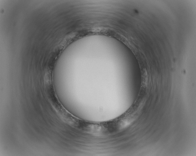 X0000080770272200701021130