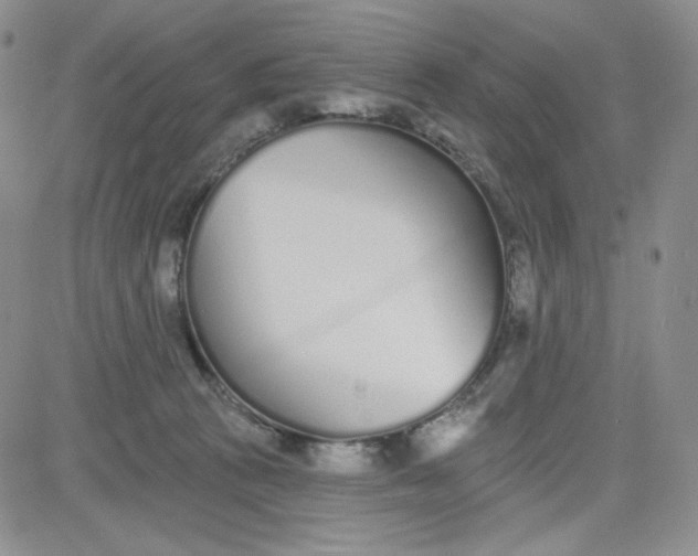 X0000080770273200701021130