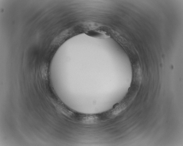 X0000080770274200701021130