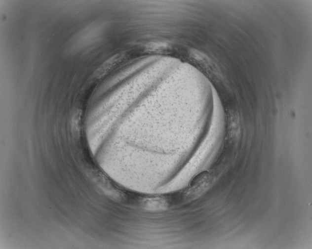 X0000080770275200701021130