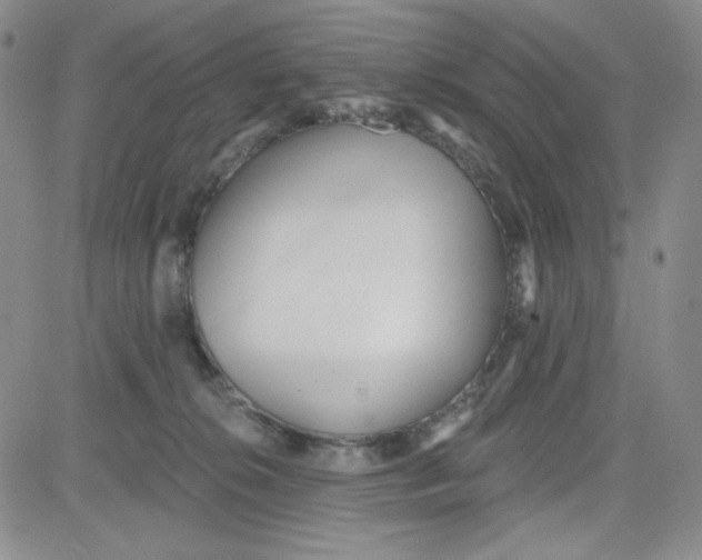 X0000080770276200701021130