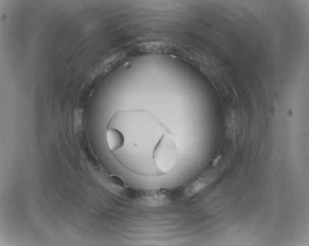 X0000080770278200701021130