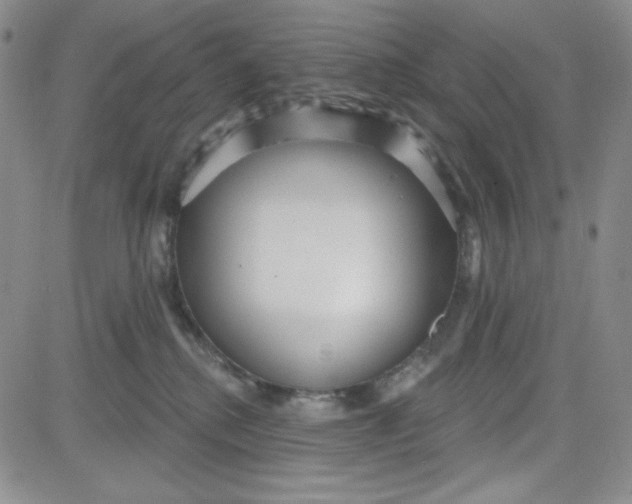 X0000080770280200701021130