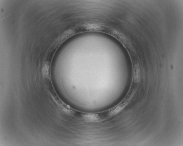 X0000080770281200701021130