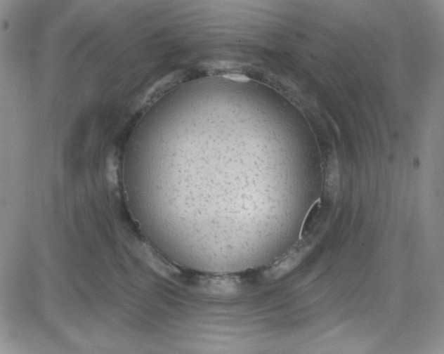 X0000080770282200701021130