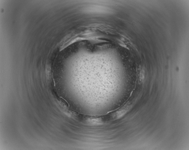 X0000080770283200701021130