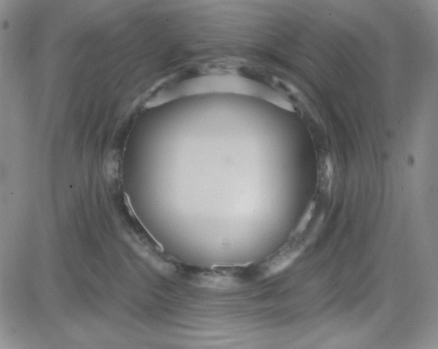 X0000080770284200701021130