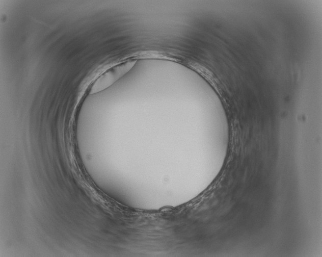 X0000080770289200701021129