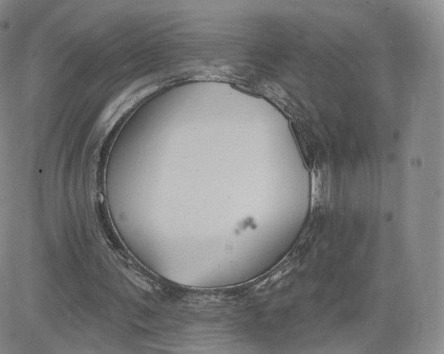 X0000080770291200701021129