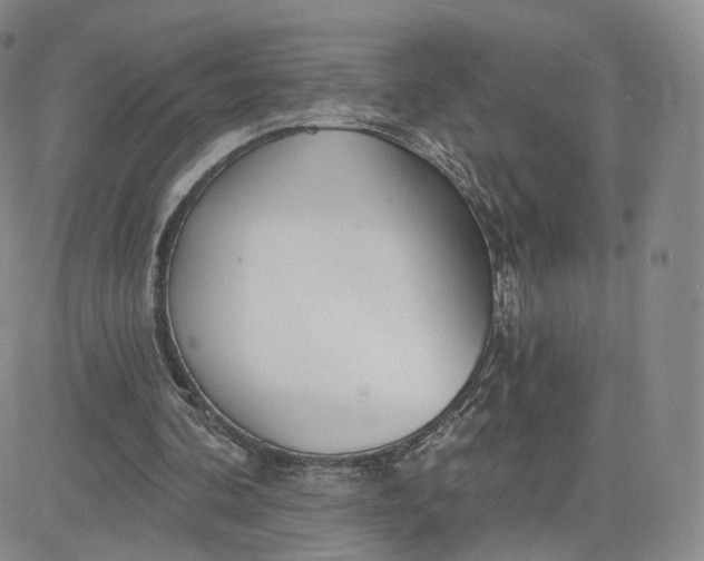 X0000080770292200701021129