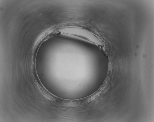 X0000080770293200701021129