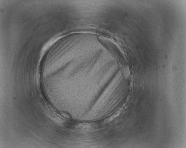 X0000080770294200701021129