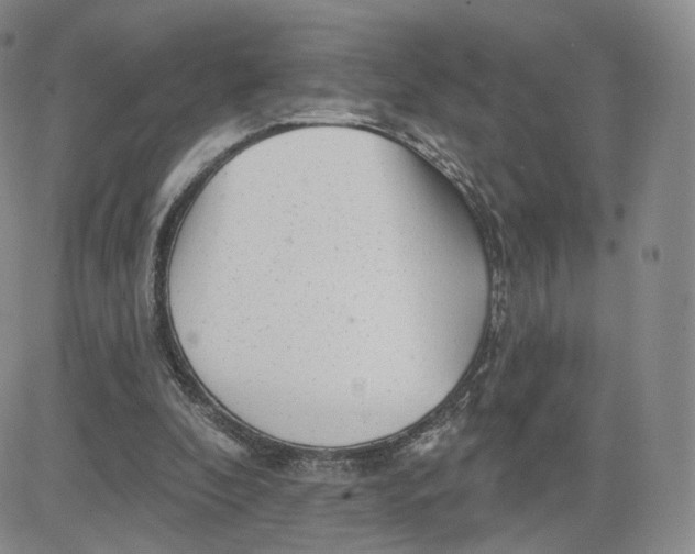 X0000080770296200701021129