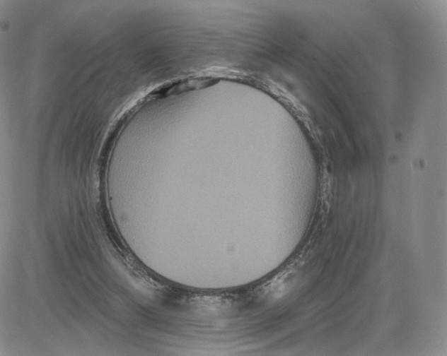 X0000080770298200701021129