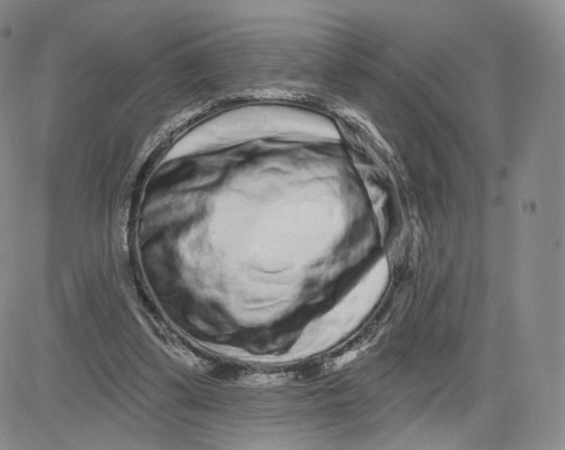 X0000080770299200701021129