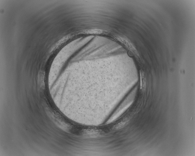 X0000080770300200701021129