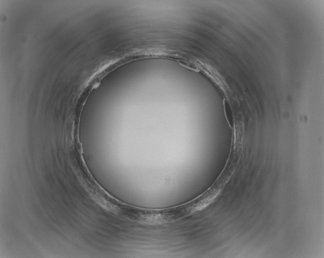 X0000080770301200701021129