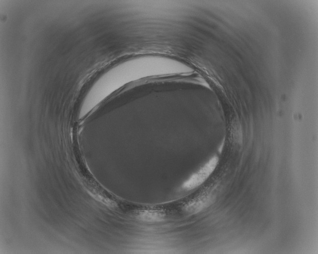 X0000080770303200701021129