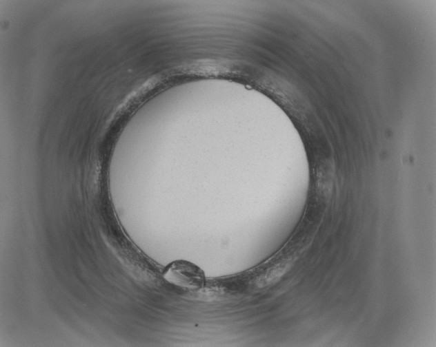 X0000080770304200701021129