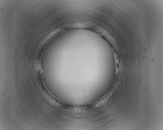 X0000080770305200701021129