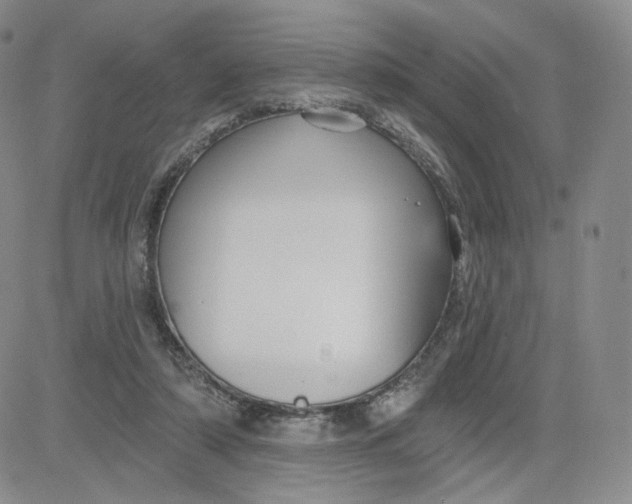 X0000080770306200701021129