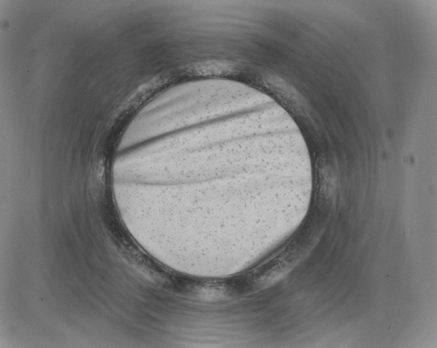 X0000080770308200701021129